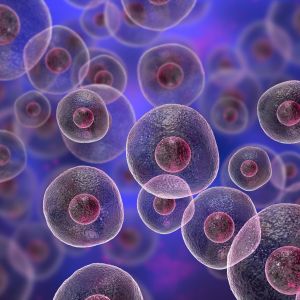 BIOSE-AURILLAC-HUMAN-MICROBIOTE